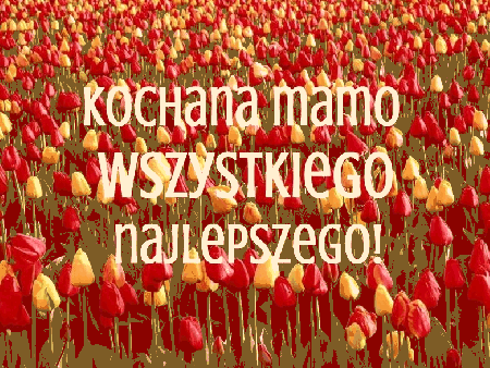 Żółte i czerwone tulipany dla mamy